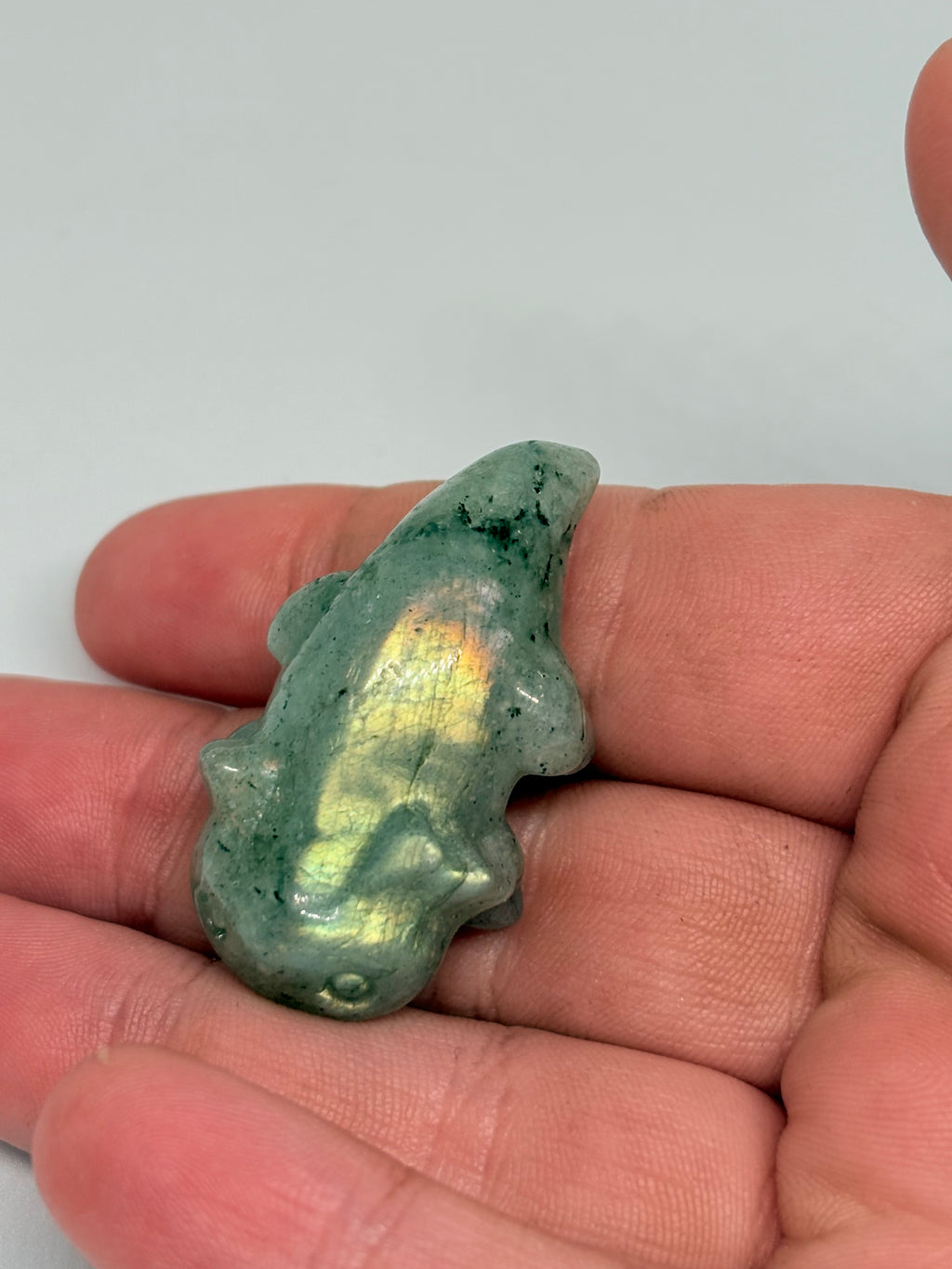 Labradorite Axlotol