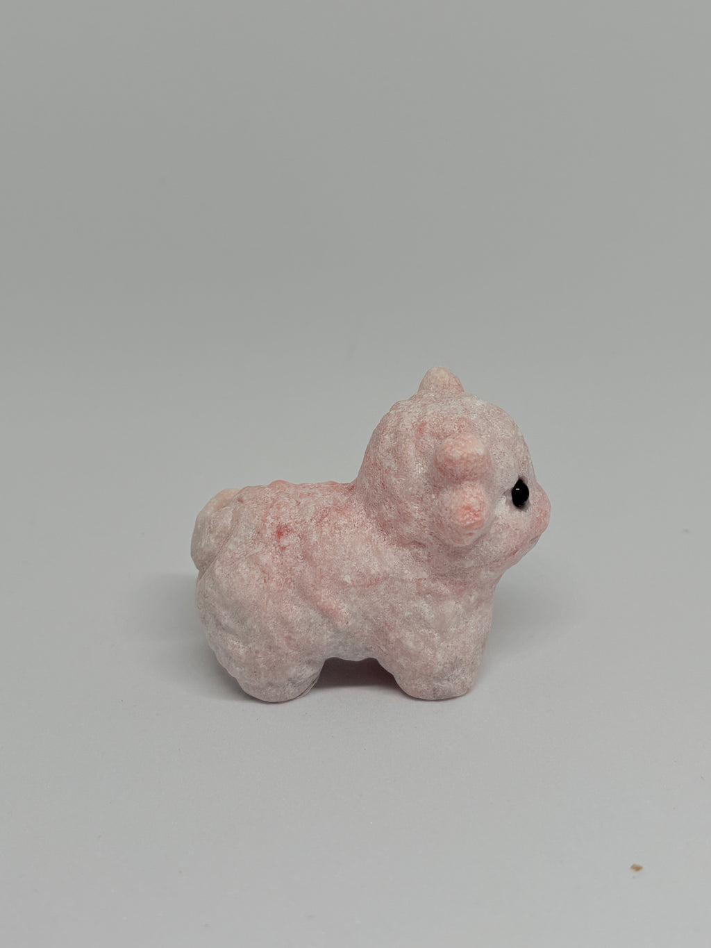 Pink Opal Highland Cow