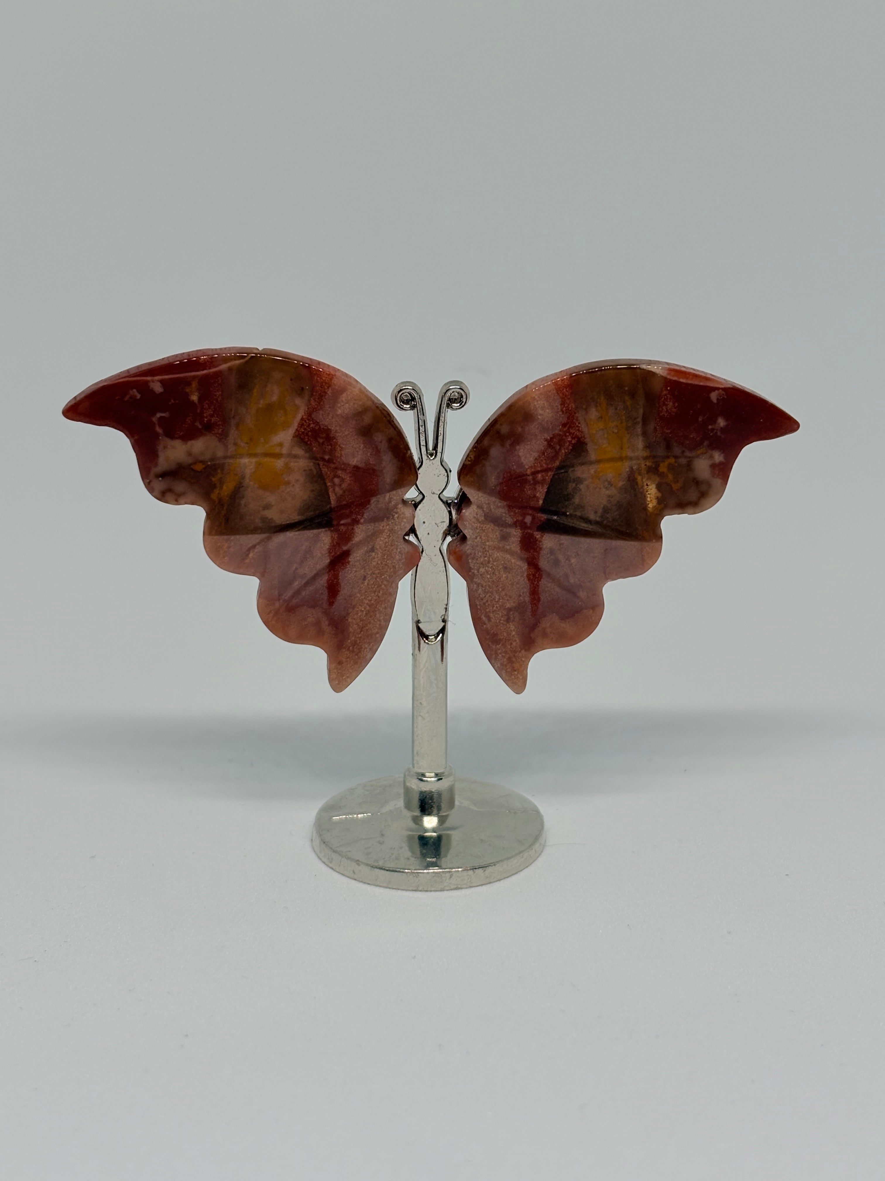 Ocean Jasper Butterfly