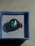 Abalone Shell Spinner Fidget Ring