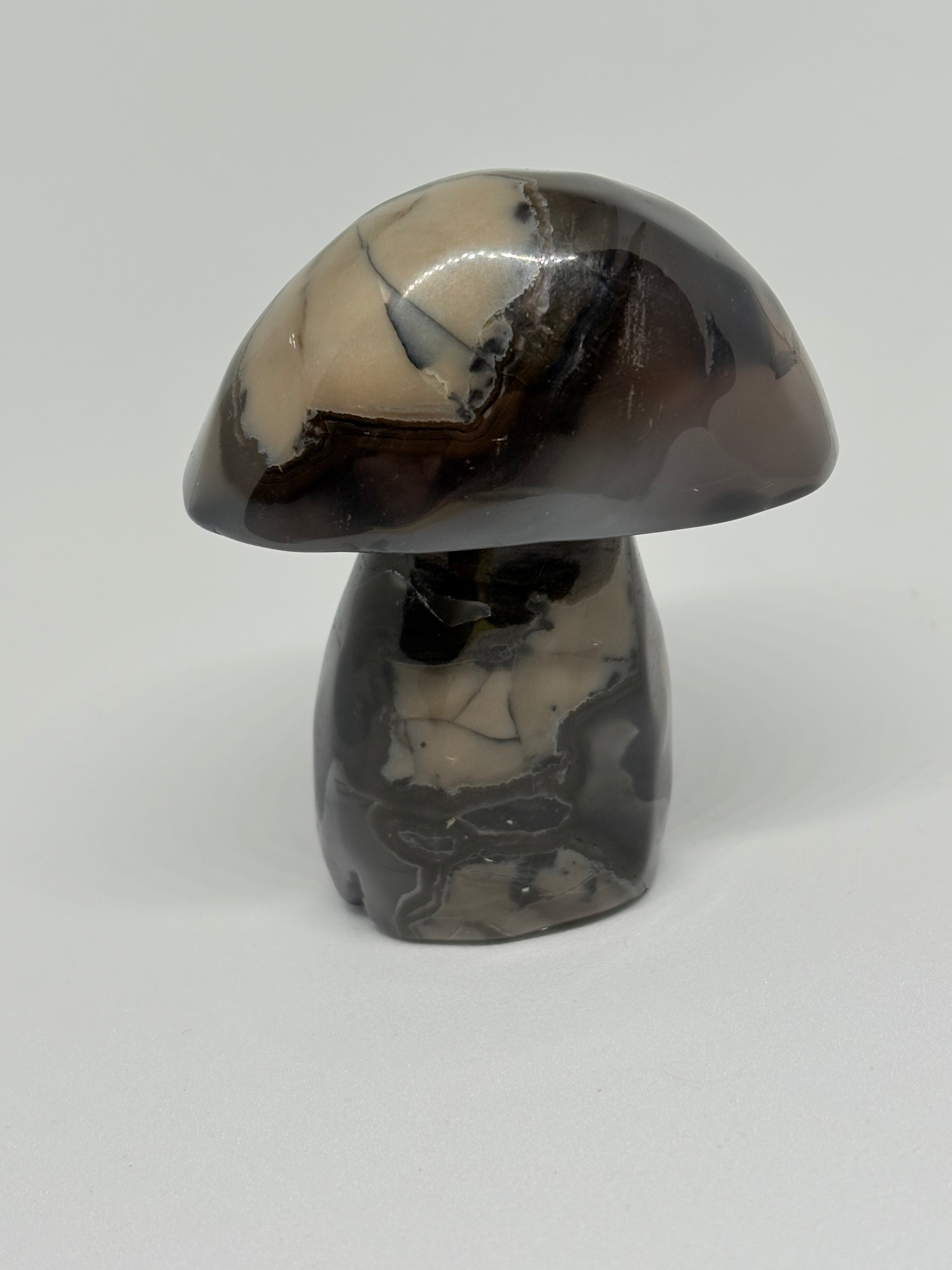Volcano Agate Mushroom