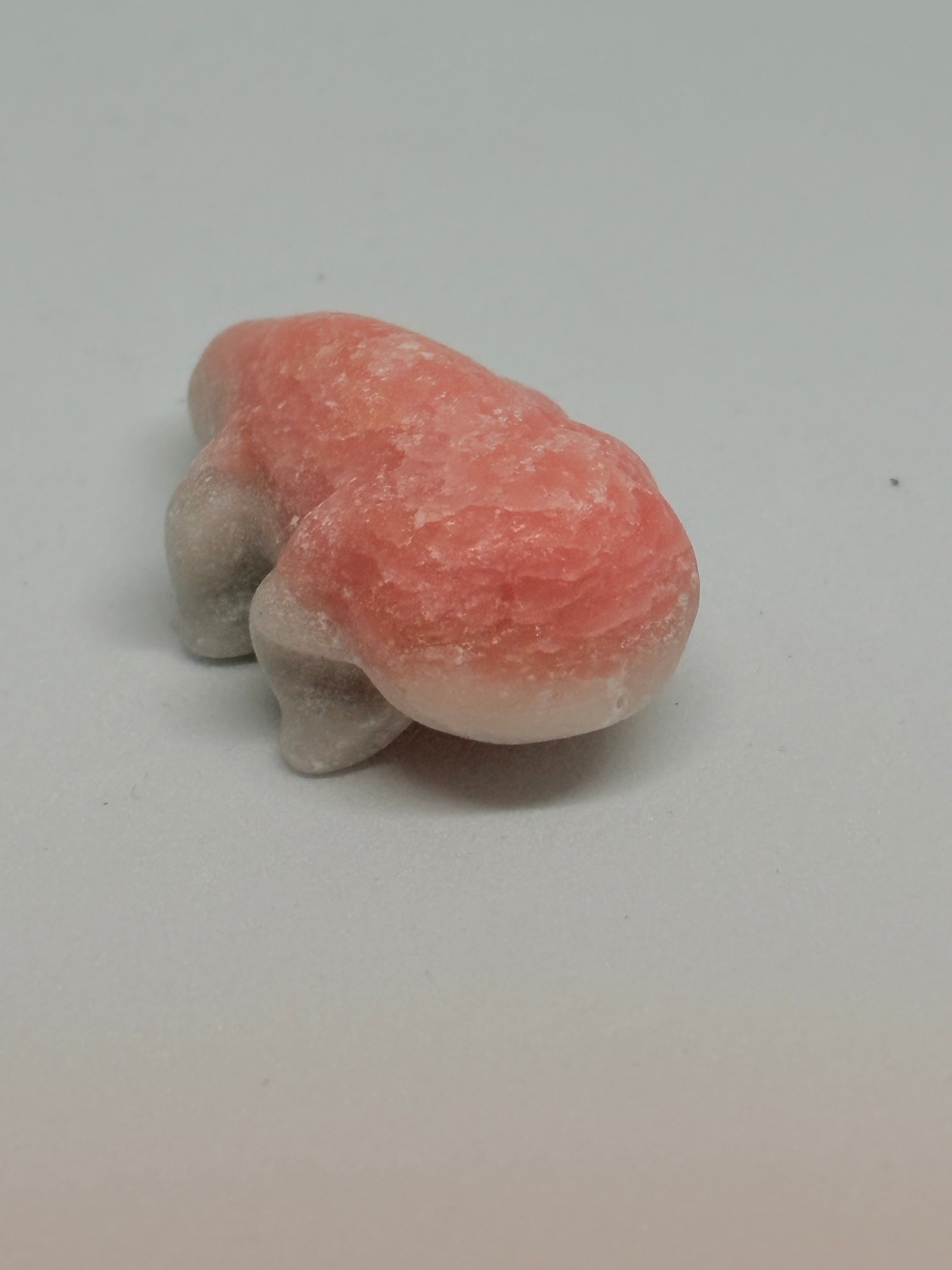 Pink Opal Axlotol